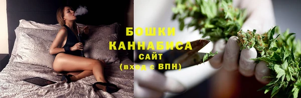 PSILOCYBIN Гусь-Хрустальный