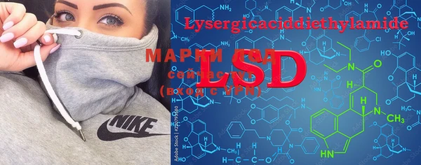 PSILOCYBIN Гусь-Хрустальный