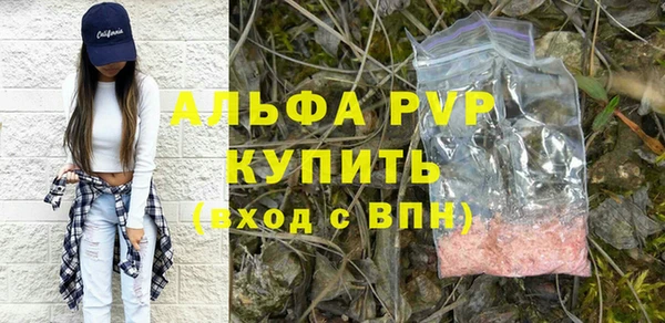 прущие грибы Гусев