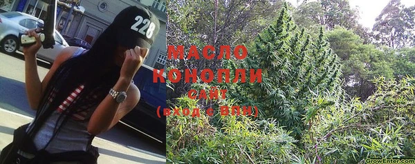 прущие грибы Гусев