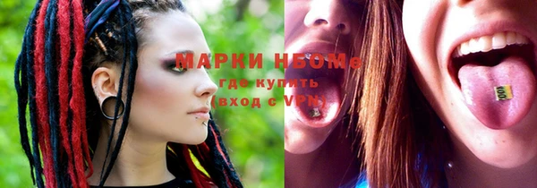 прущие грибы Гусев