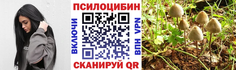 Купить  Агрыз  Галлюциногенные грибы GOLDEN TEACHER 